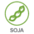 2soja